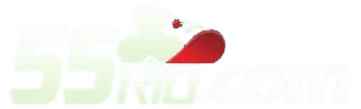 55rio